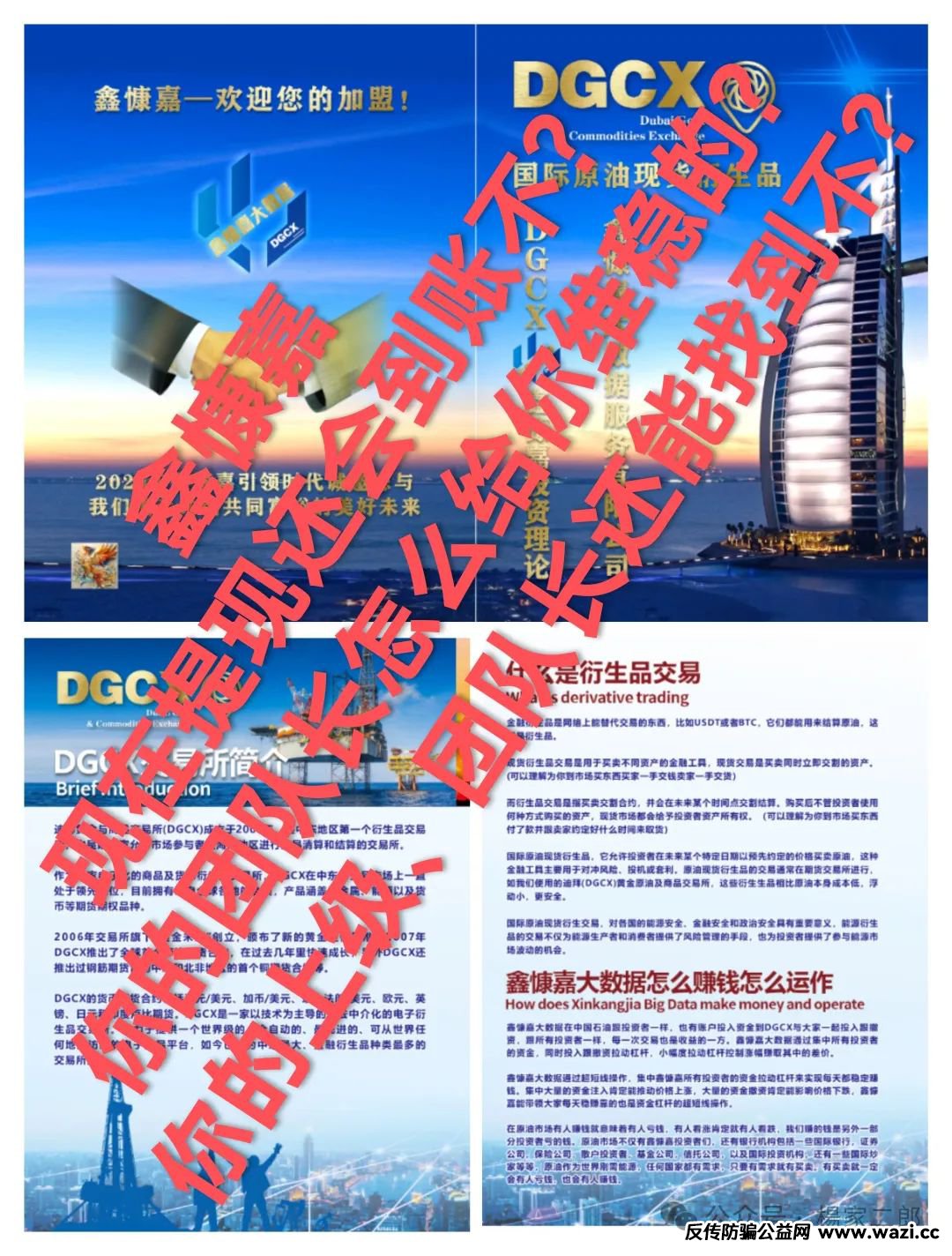 曝光＂鑫慷嘉DGCX＂跟单类资金盘骗局已拒绝提现！