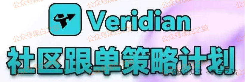 “Veridian 维盛社区”野鸡交易所起盘2个月，单割小团长，痕迹狡兔三窟，国内踪迹一点就破