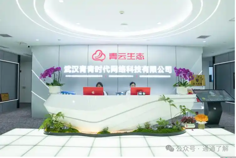 【青云租】爆雷揭秘:年化16.8%的“躺赚”骗局,如何让数千投资者血本无归?