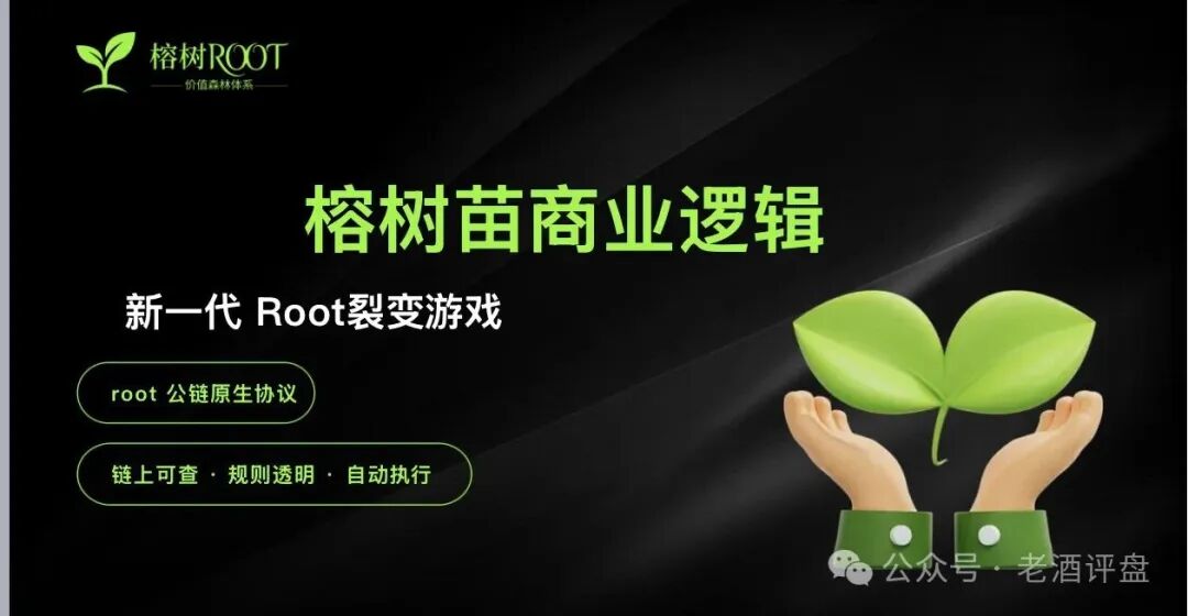 警惕“榕树ROOT”：打着Web3旗号的典型资金盘骗局！！