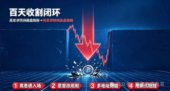 暴跌75%!【影子协议】彻底收网!从全员抄底到社群死寂,百天杀猪盘全程曝光